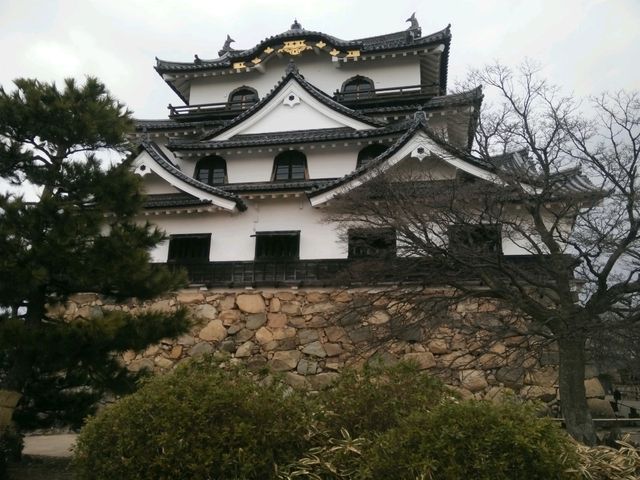 #彥根城-日本滋賀縣彥根市