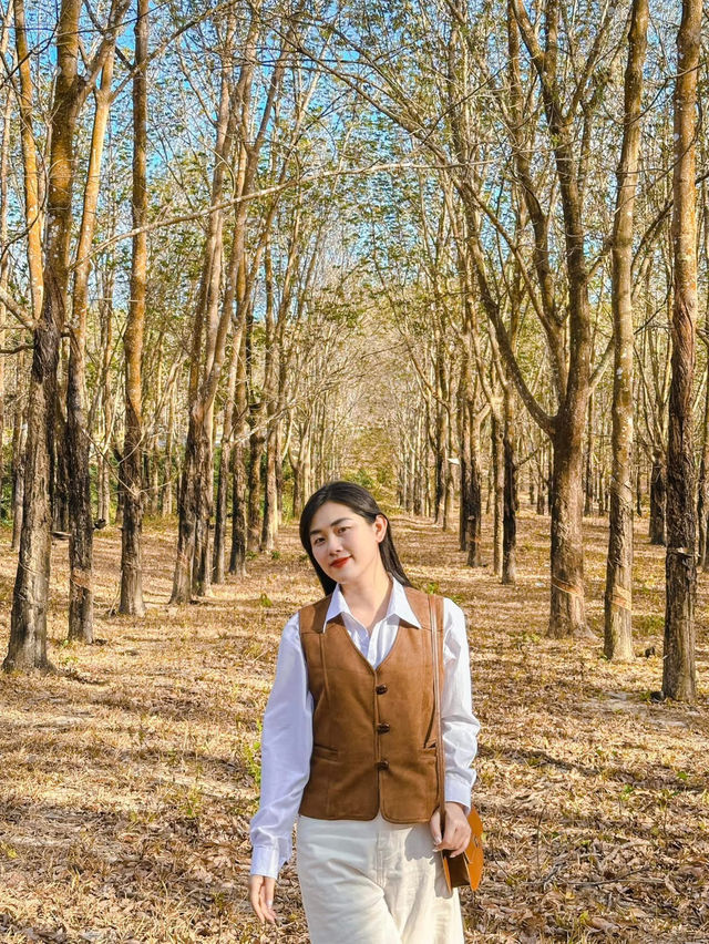 Tây Nguyên