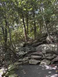 Cairns trip