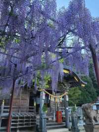 【山口グルメ】道の駅おふく・西八幡宮