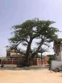 10-day itinerary in Senegal