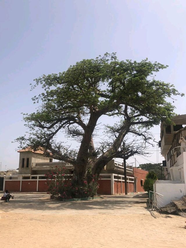 10-day itinerary in Senegal