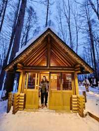Frozen Beauty & Fairy Lights: Winter Road Trip from Asahikawa to Biei & Furano