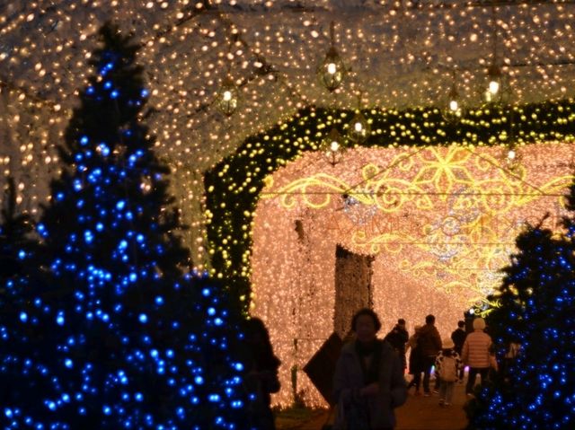 【御殿場高原 時之栖】冬の夜を彩るイルミネーション！