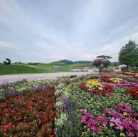 Suncheon Bay National Garden (Suncheon)