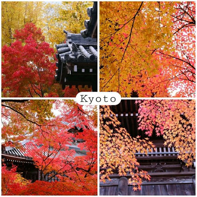 Eikando Temple
