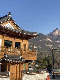 서울 이모저모 🩷