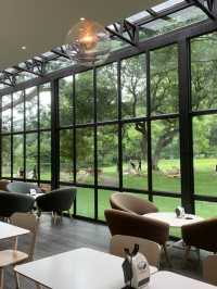 Mulberry Mellow cafe 