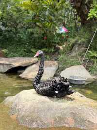 A Luxurious Retreat at InterContinental Khao Yai, Thailand