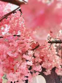 Petals, Pagoda & Peak – The Ultimate Sakura Postcard