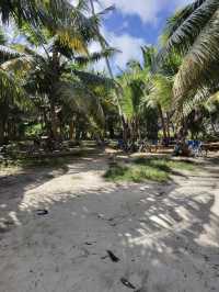 🚲 🌊 La Digue Scenic Bike Road Trip
