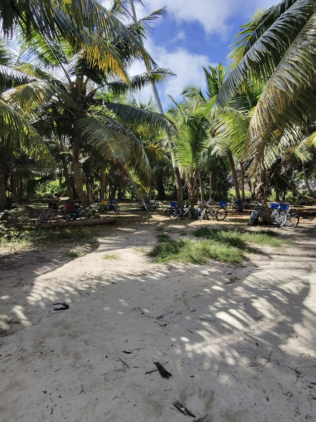 🚲 🌊 La Digue Scenic Bike Road Trip