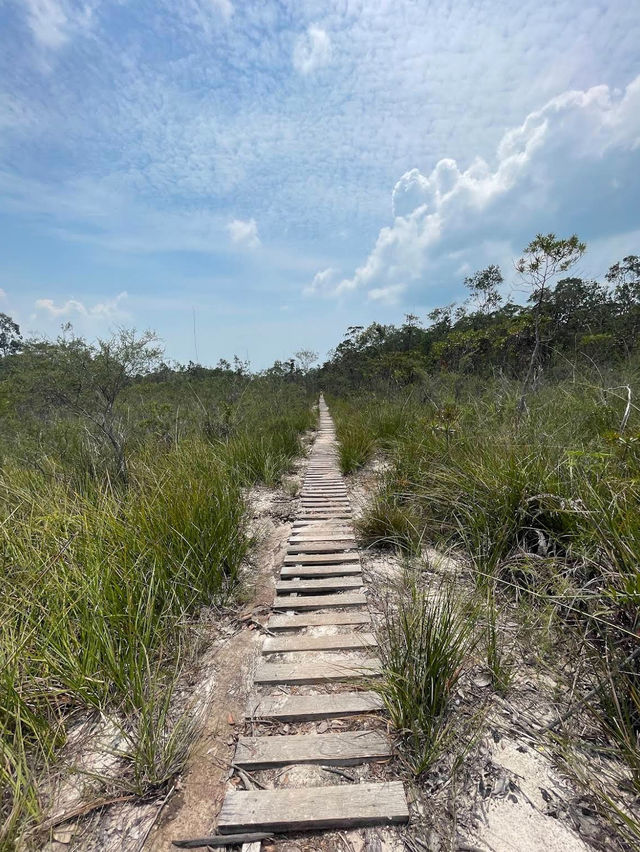 Bako National Park
