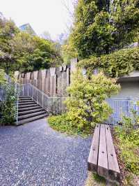 Sakura from Above: A Hidden Spring View at Acros Fukuoka