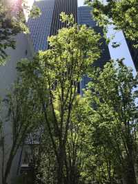【東京田町からストレス解消・スポーツの街で芝浦埠頭を眺めて充実の仕事シーズンを過ごそう！】
