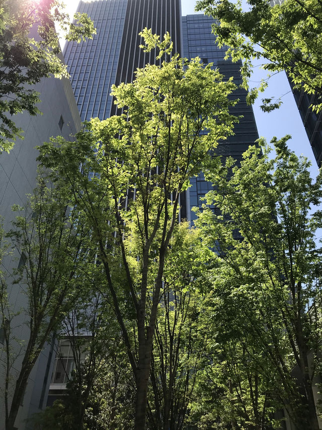 【東京田町からストレス解消・スポーツの街で芝浦埠頭を眺めて充実の仕事シーズンを過ごそう！】