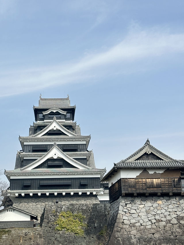 Kumamoto castle in japan 🇯🇵