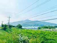 Seongnae Reservoir: Nature’s Mirror