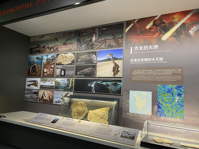 南京 古生物🦕博物館 🦖 自然科普 教育基地