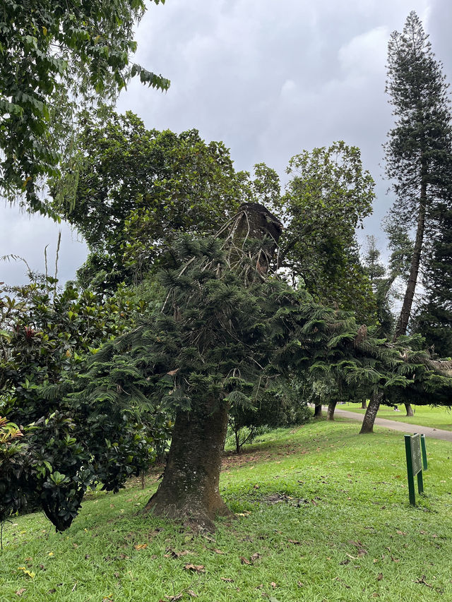 Explore Nature’s Beauty at the Royal Botanic Gardens