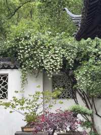 A place so peaceful even the cats seem to meditate — Xiyuan Temple
