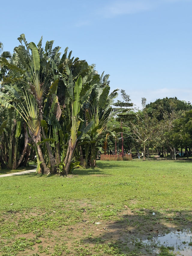 端午節好去處｜台北大安森林公園的節日體驗