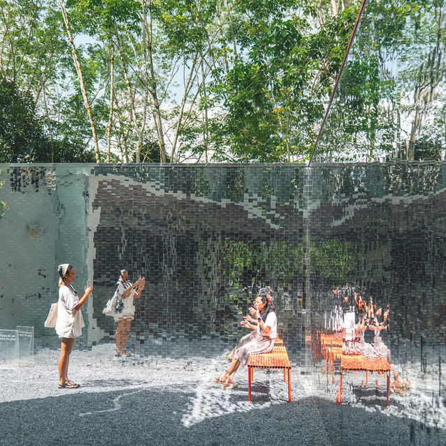 คาเฟ่แผ่นกระจกกลางสวนยางพารา