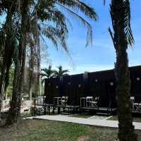 NOMADS HOMESTAY & Restaurant 🌴 ที่พักฟีลดี 