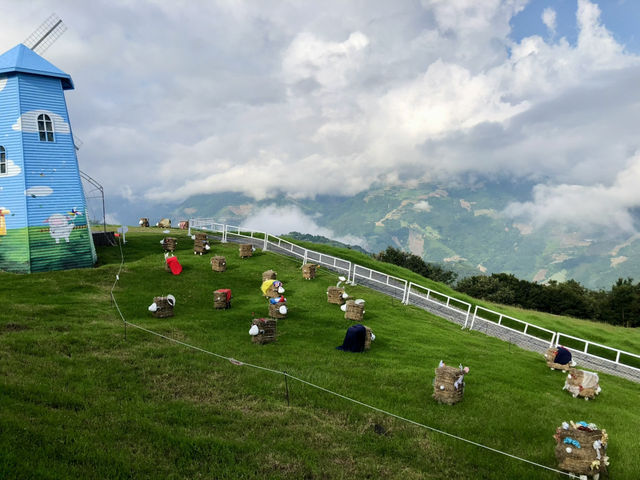 Fluff, Fields & Fresh Air 🐑🌿 Cingjing Farm Vibes!