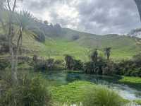 Blue Spring 