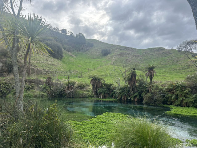 Blue Spring 