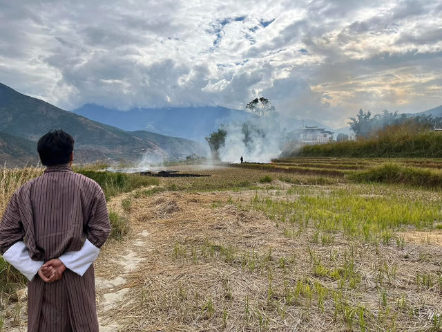 Punakha’s Fertility Temple – Where Culture Meets the Countryside