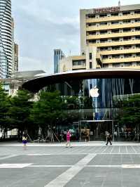 🍎 Tree or Tech? Where Are These Apple Stores?
