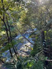 Prince Henry Cliff Walk at Blue Mountain, Sydney