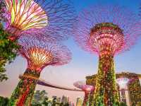 BEST VIEW IN GARDEN BY THE BAY SINGAPORE