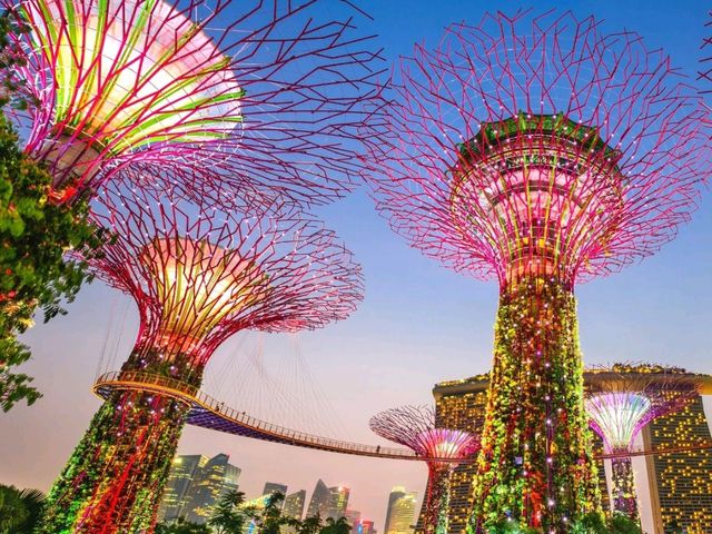 BEST VIEW IN GARDEN BY THE BAY SINGAPORE