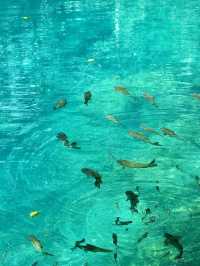 Libo Xiaoqikong: Where Water Paints the Karst