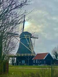 Spring in 't Zand, Schagen: A Hidden Gem in Bloom ❤️