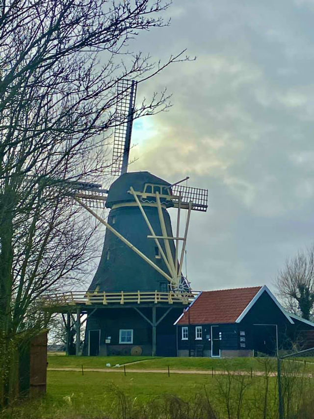 Spring in 't Zand, Schagen: A Hidden Gem in Bloom ❤️