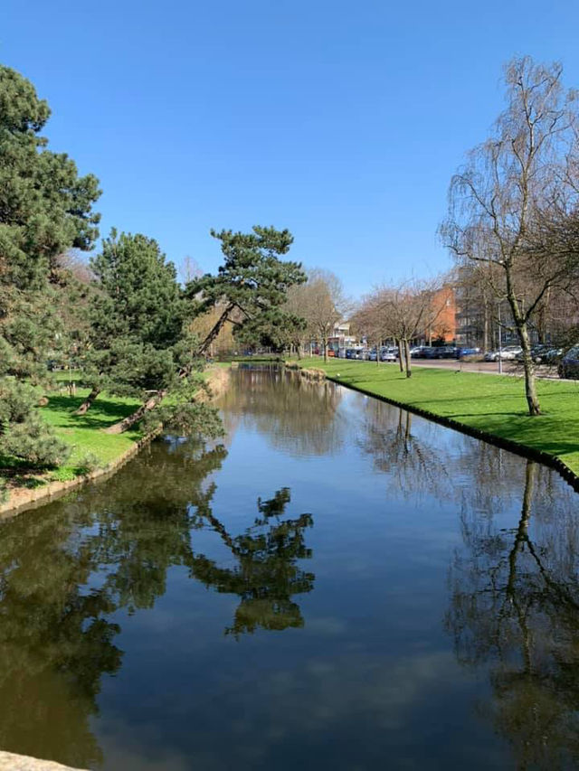 Spring in Rotterdam: A Vibrant Celebration of Nature