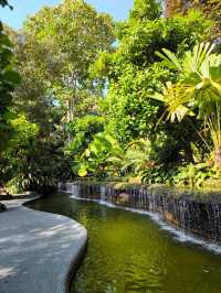 Tropical Oasis: Singapore Botanical Gardens