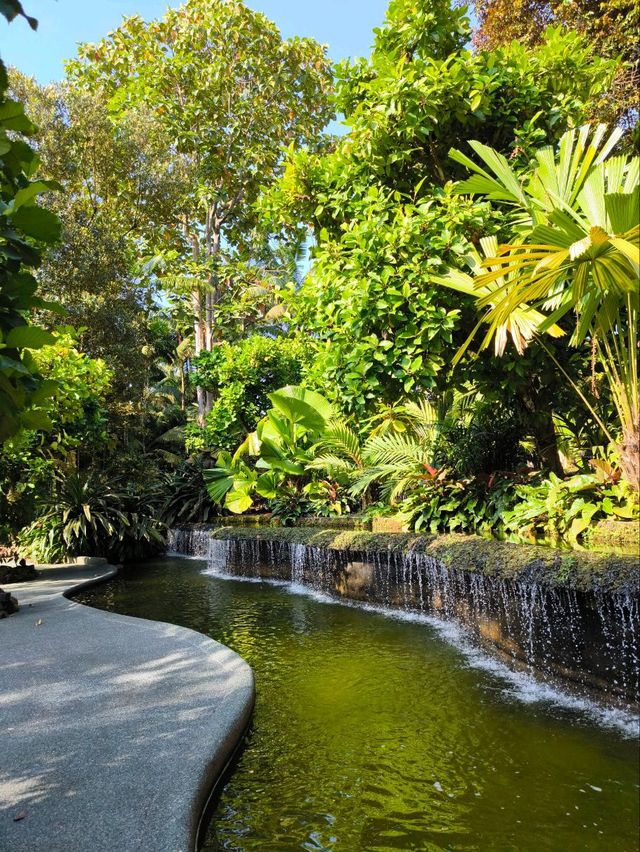 Tropical Oasis: Singapore Botanical Gardens