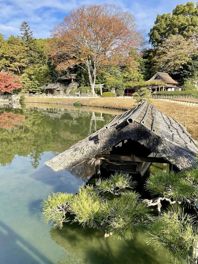A Slow and Serene Day at Okayama Korakuen Garden