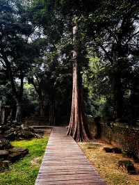 Ta prohm as tomb raider temple 