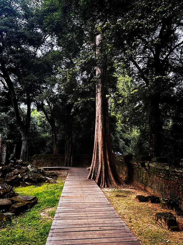 Ta prohm as tomb raider temple 