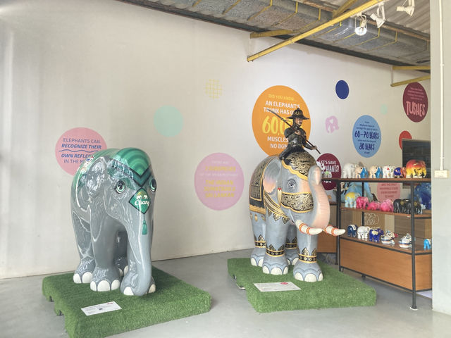 Elephant Parade ❤️ Mosha