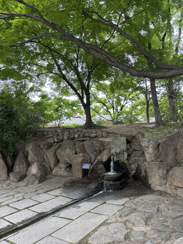 고종황제의 다양한 유물이 있는 박물관🥲