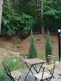 Reforest Café – คาเฟ่บรรยากาศธรรมชาติในแทจอน