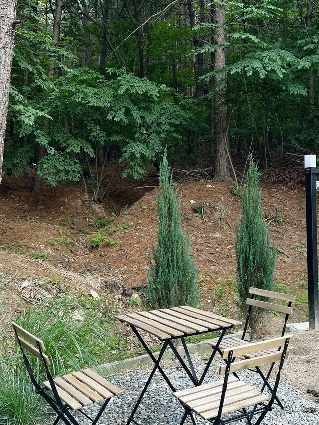 Reforest Café – คาเฟ่บรรยากาศธรรมชาติในแทจอน
