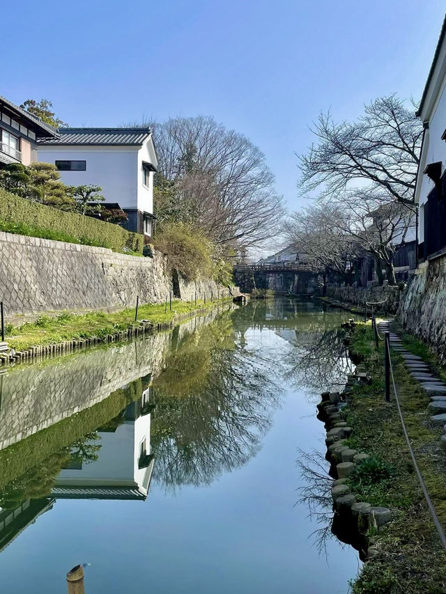 A Full Day of Exploring Omihachiman 🏯🌿
